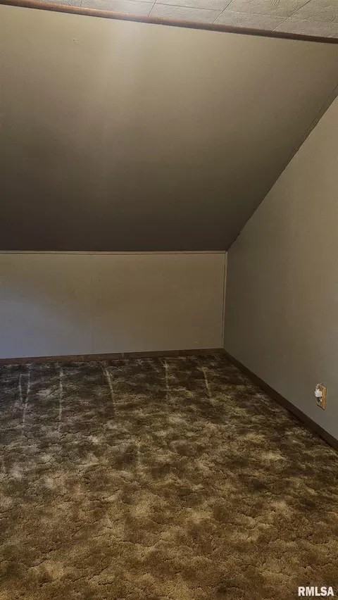 375 W Pine St, Canton, IL 61520 photo 21
