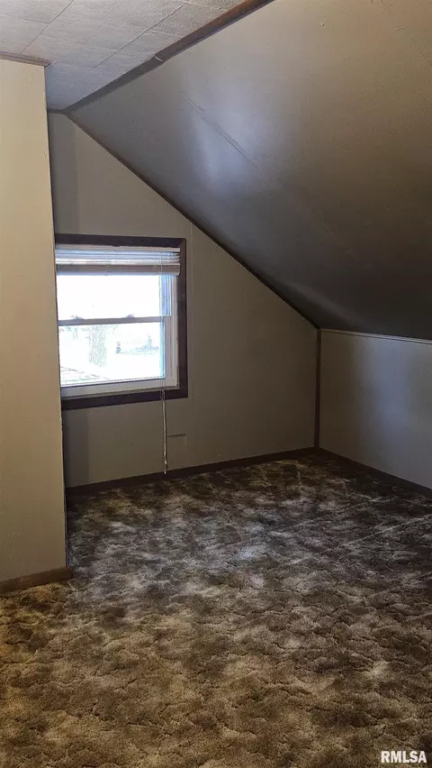 375 W Pine St, Canton, IL 61520 photo 26
