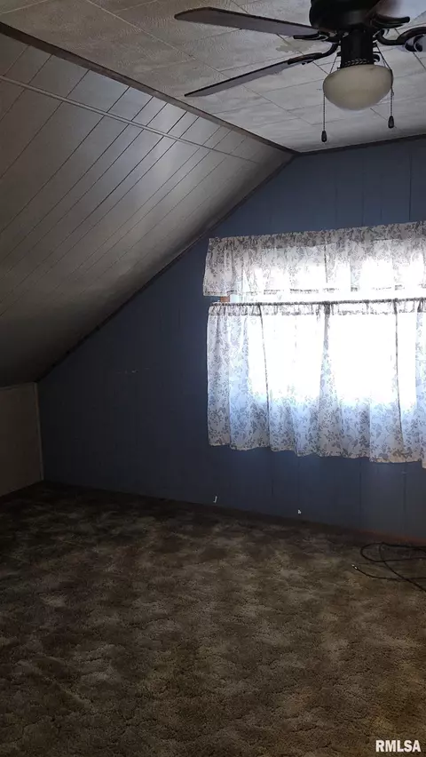 375 W Pine St, Canton, IL 61520 photo 22