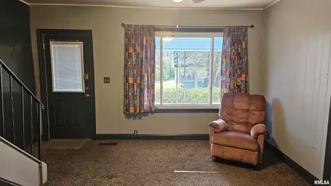 375 W Pine St, Canton, IL 61520 photo 7