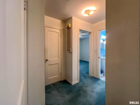 910 E Willcox Ave, Peoria, IL 61603 photo 13