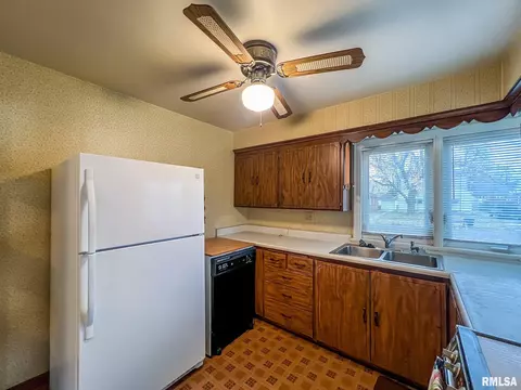 910 E Willcox Ave, Peoria, IL 61603 photo 5