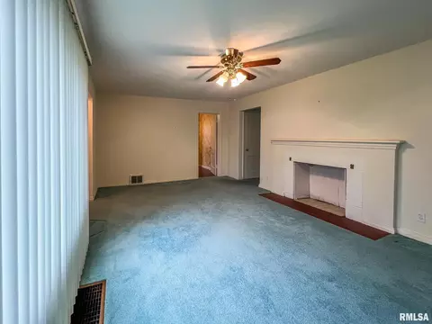 910 E Willcox Ave, Peoria, IL 61603 photo 11