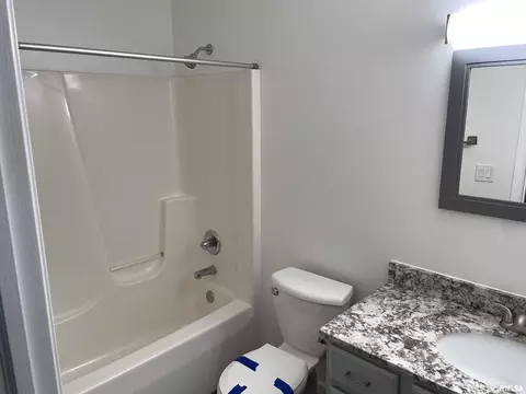 Bath - 397 Mcgrew Dr, Avon, IL 61415 photo 4 of 5