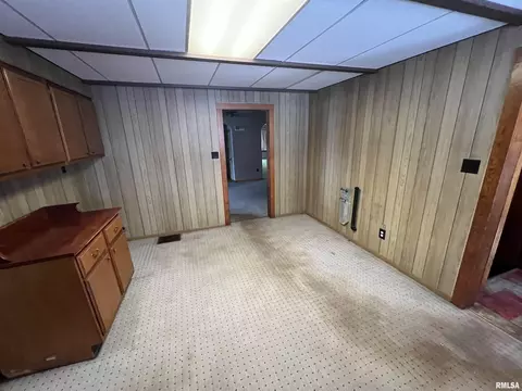 654 E Harrison St, Cuba, IL 61427 photo 25