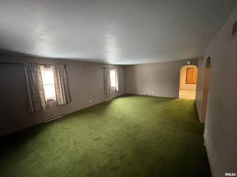654 E Harrison St, Cuba, IL 61427 photo 15