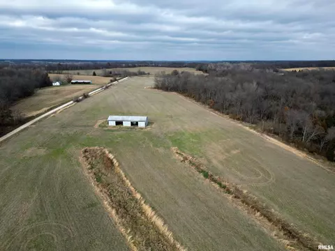 31851 N Young Rd, London Mills, IL 61544