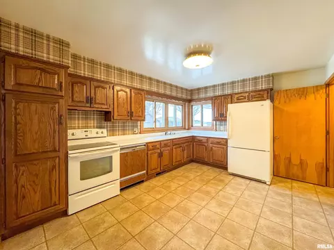 127 S Reiter St, Benson, IL 61516 photo 8
