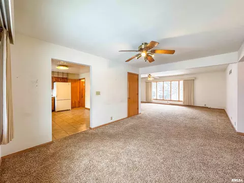 127 S Reiter St, Benson, IL 61516 photo 11