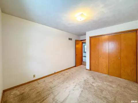 127 S Reiter St, Benson, IL 61516 photo 21