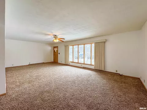 127 S Reiter St, Benson, IL 61516 photo 6