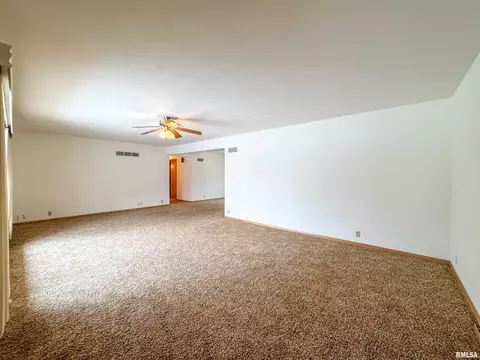 127 S Reiter St, Benson, IL 61516 photo 4