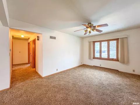 127 S Reiter St, Benson, IL 61516 photo 12