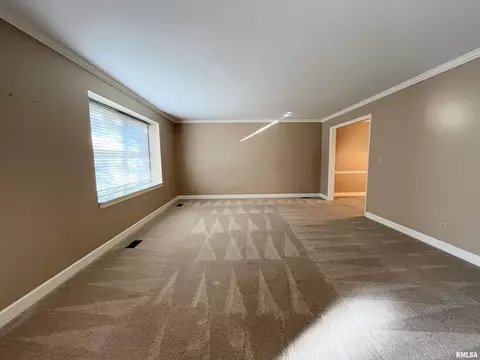 131 E Morningside Dr, Peoria, IL 61614 photo 12