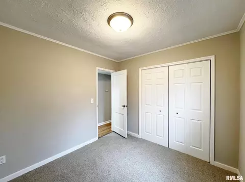 901 E Tripp Ave, Peoria, IL 61603 photo 19
