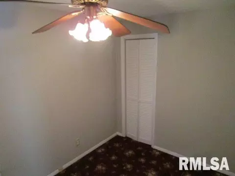 365 W Pine St, Canton, IL 61520 photo 15