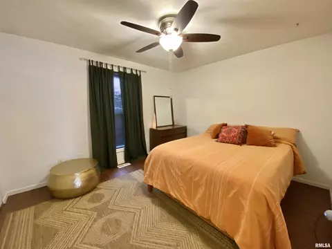 1110 E Juniper St, Canton, IL 61520 photo 33