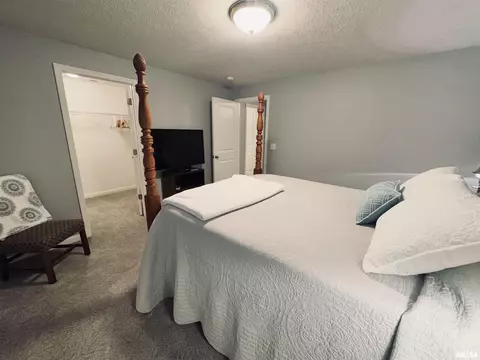 125 W Hillside Ct, Dunlap, IL 61525 photo 32