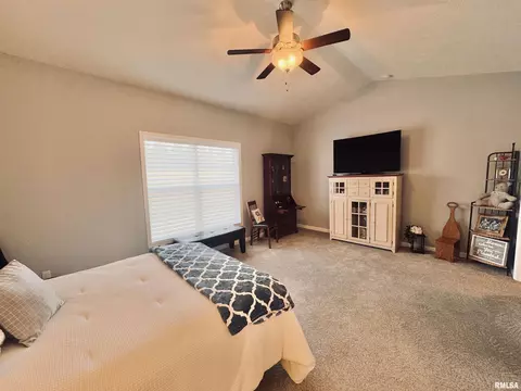 125 W Hillside Ct, Dunlap, IL 61525 photo 19