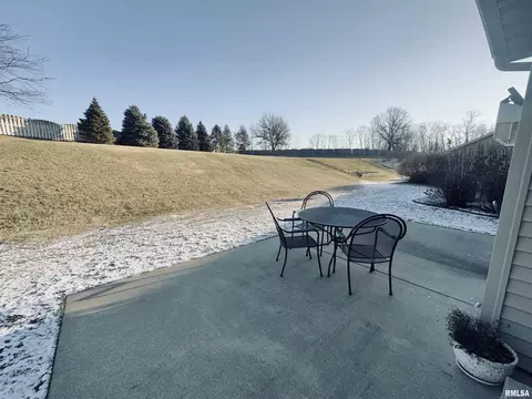 125 W Hillside Ct, Dunlap, IL 61525 photo 5