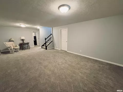 125 W Hillside Ct, Dunlap, IL 61525 photo 30