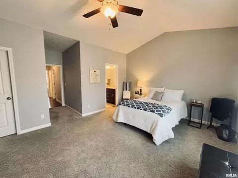 125 W Hillside Ct, Dunlap, IL 61525 photo 20