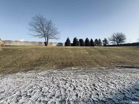 125 W Hillside Ct, Dunlap, IL 61525 photo 4