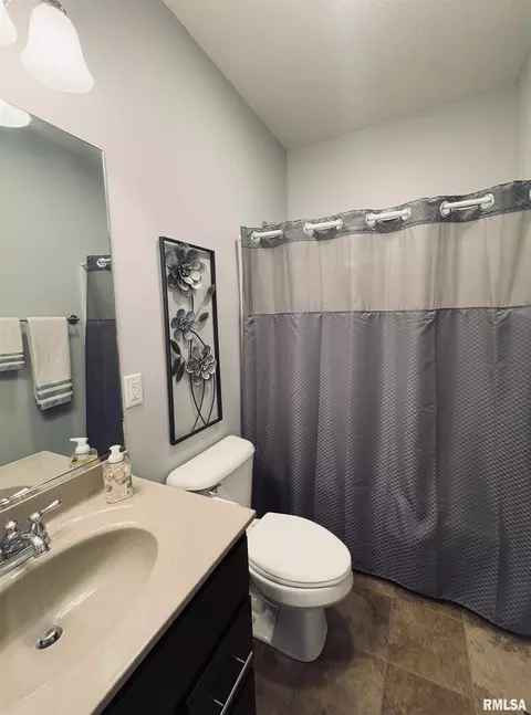 125 W Hillside Ct, Dunlap, IL 61525 photo 28