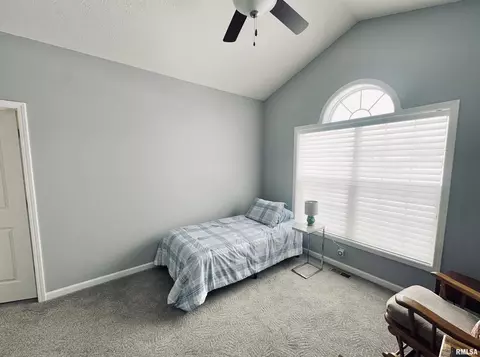 125 W Hillside Ct, Dunlap, IL 61525 photo 27
