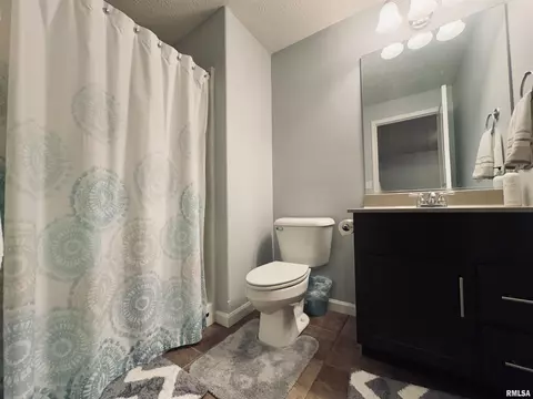 125 W Hillside Ct, Dunlap, IL 61525 photo 34