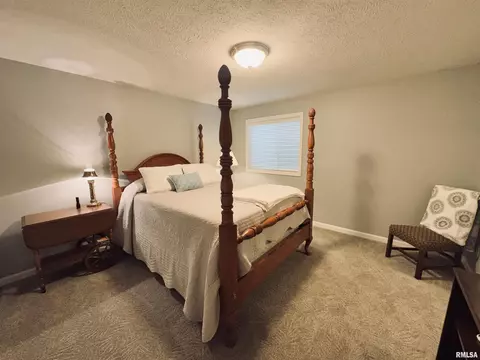 125 W Hillside Ct, Dunlap, IL 61525 photo 31