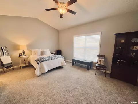 125 W Hillside Ct, Dunlap, IL 61525 photo 18