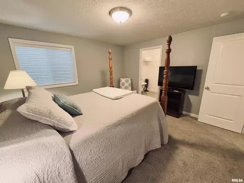 125 W Hillside Ct, Dunlap, IL 61525 photo 33