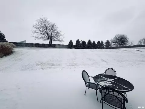 125 W Hillside Ct, Dunlap, IL 61525 photo 39