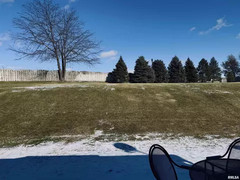 125 W Hillside Ct, Dunlap, IL 61525 photo 37