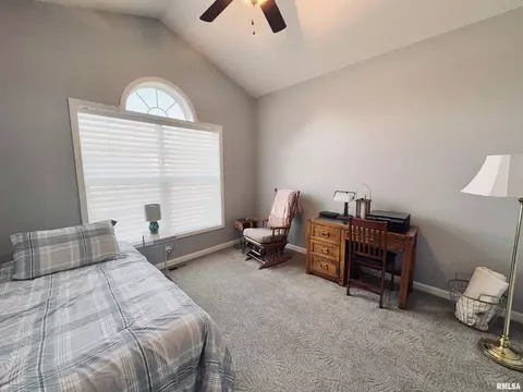 125 W Hillside Ct, Dunlap, IL 61525 photo 26