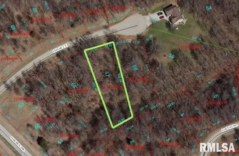 57 Cedar Ct, Dahinda, IL 61428