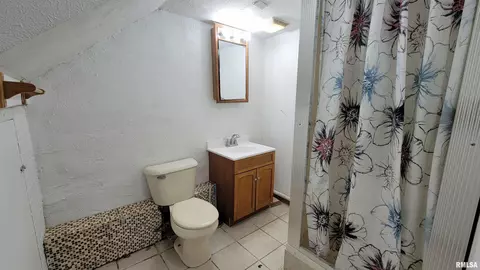 619 E Thrush Ave, Peoria, IL 61603 photo 22