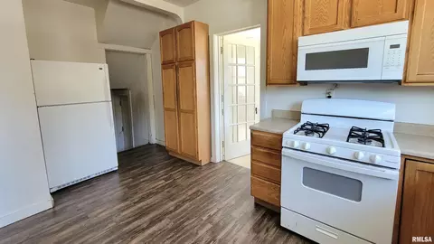 619 E Thrush Ave, Peoria, IL 61603 photo 11