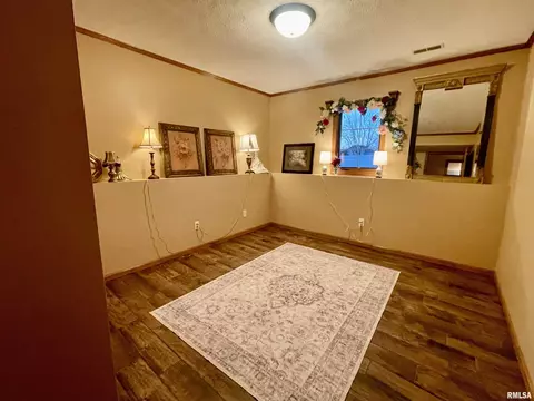 704 Devon Dr, Germantown Hills, IL 61548 photo 26