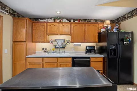 704 Devon Dr, Germantown Hills, IL 61548 photo 20