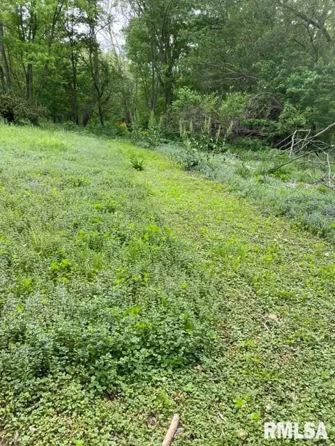 Other - 252 Grimm Rd, Congerville, IL 61729 photo 20 of 25