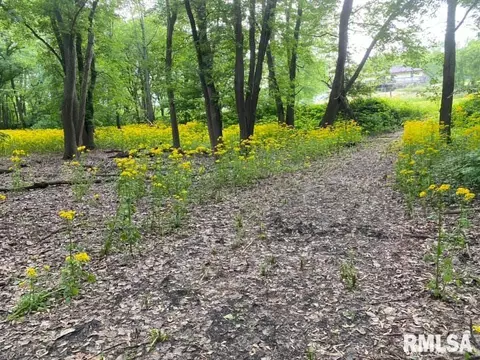 Other - 252 Grimm Rd, Congerville, IL 61729 photo 2 of 25