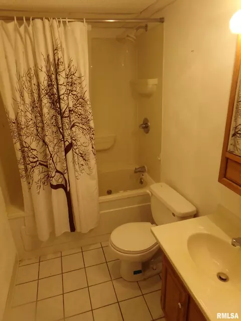 Bath - 308 N Sunset St, Manito, IL 61546 photo 4 of 4