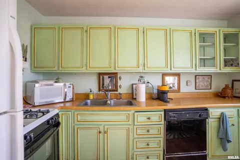 1324 E Locust St, Canton, IL 61520 photo 13