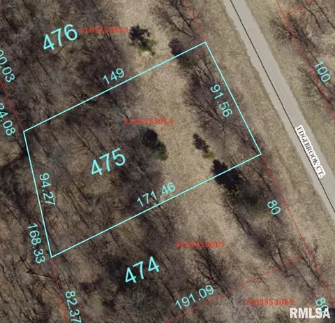 lot475 Edgebrook Ct, Dahinda, IL 61428