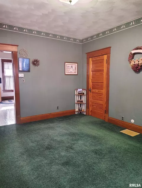 458 W Pine St, Canton, IL 61520 photo 10