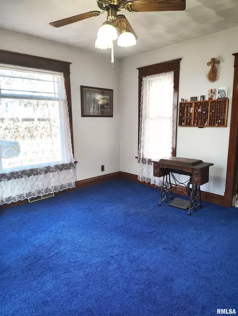 458 W Pine St, Canton, IL 61520 photo 7