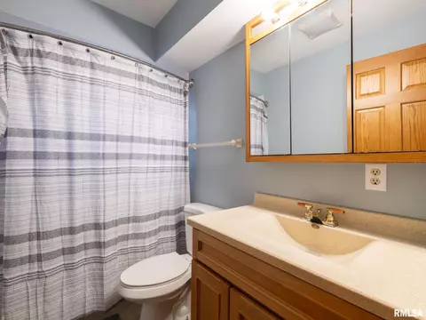 Bath - 9435 W Buckingham Ct, Mapleton, IL 61547 photo 3 of 5