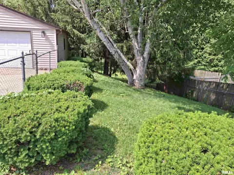 300 E 4th St, Saint David, IL 61563 photo 42